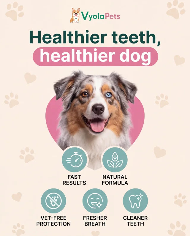 A Healthier Smile Starts with Better Daily Care